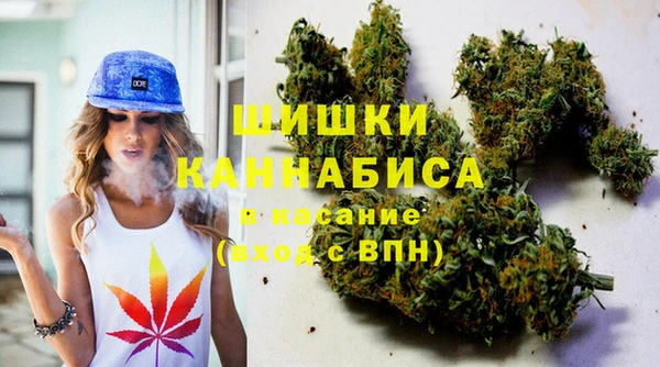 индика Алексин