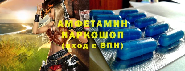 индика Алексин