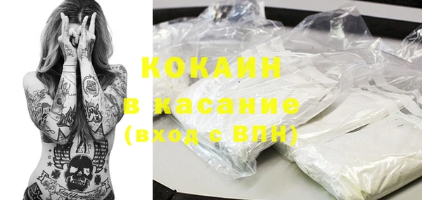 индика Алексин