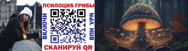 купить Тимашёвск Галлюциногенные грибы ЛСД